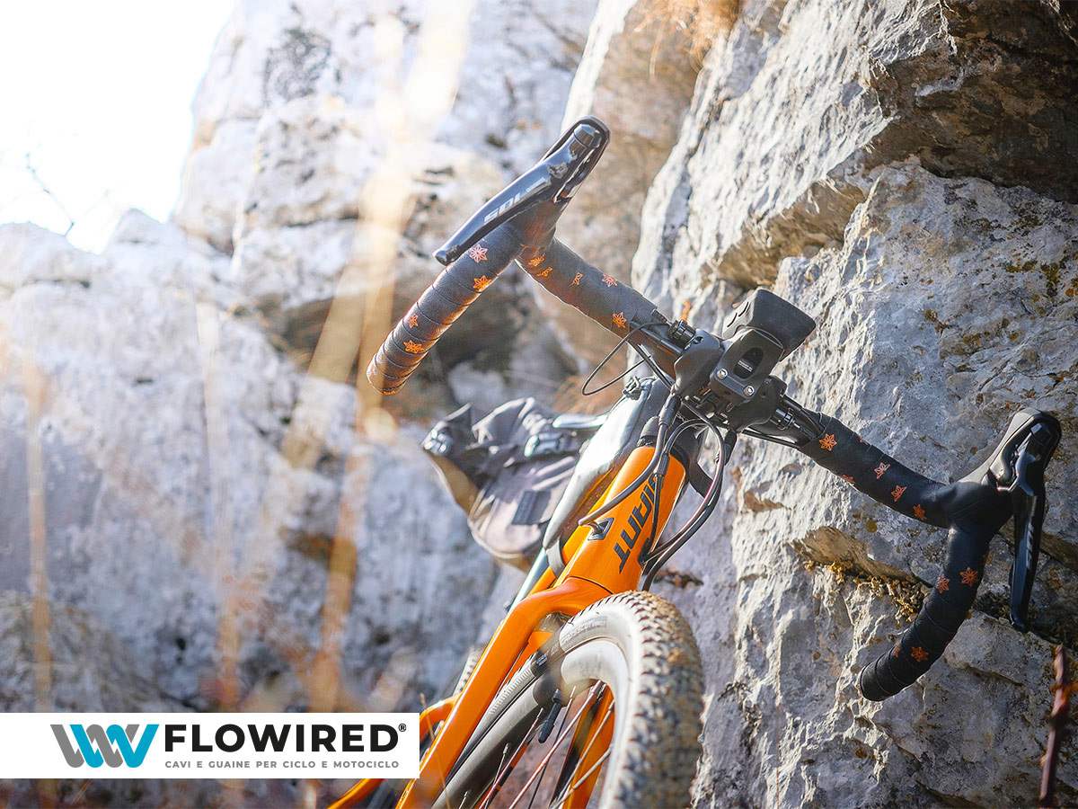 bicicletta gravel caratteristiche